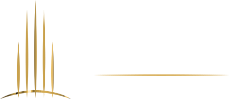 RAPT Group